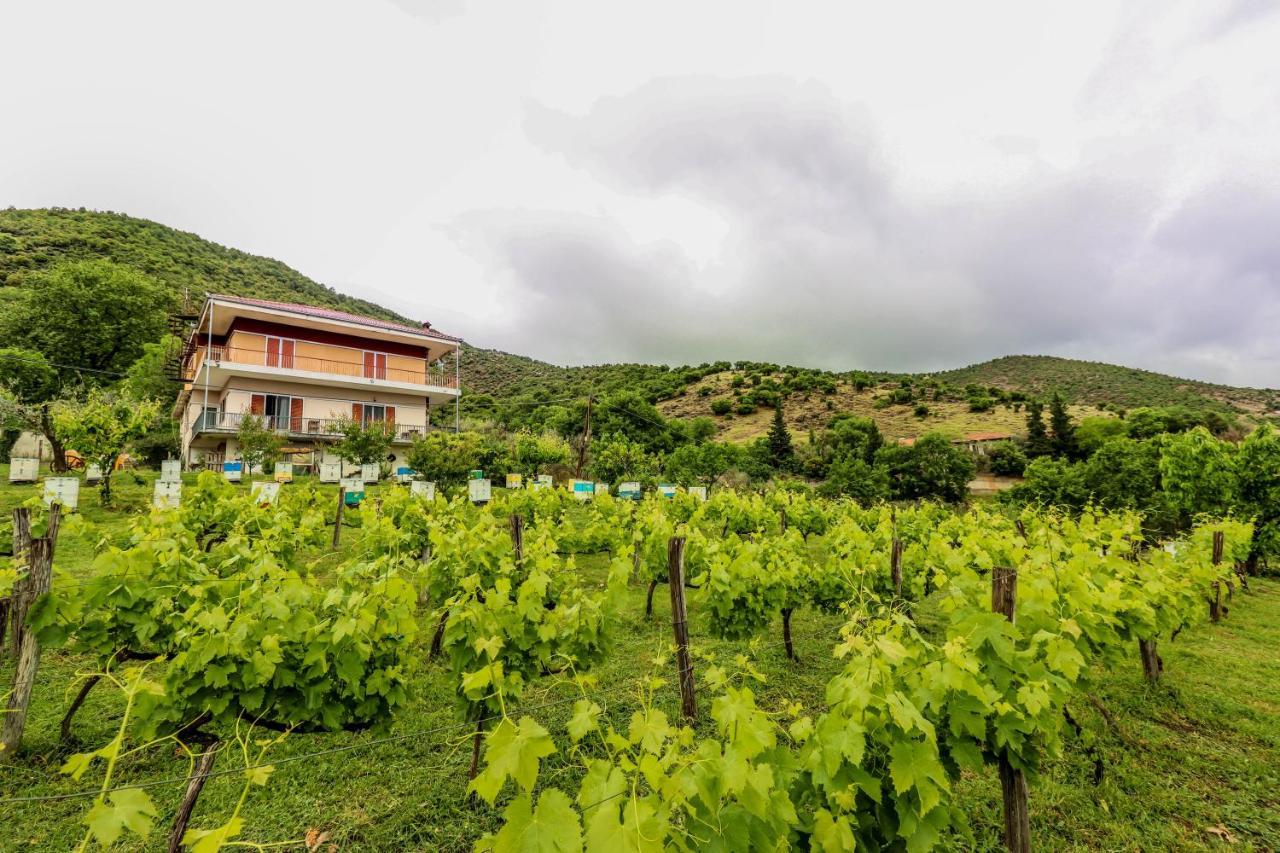 Country Home Genesi 20 Min From Trikala Exterior photo