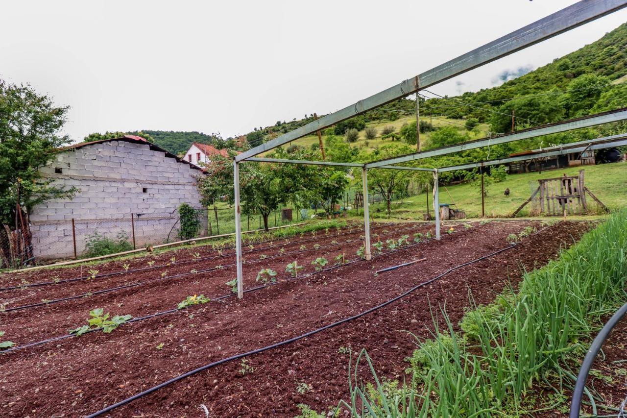 Country Home Genesi 20 Min From Trikala Exterior photo