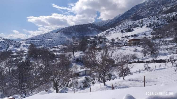Country Home Genesi 20 Min From Trikala Exterior photo