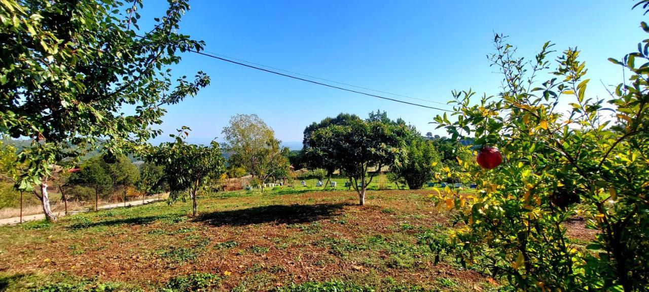 Country Home Genesi 20 Min From Trikala Exterior photo