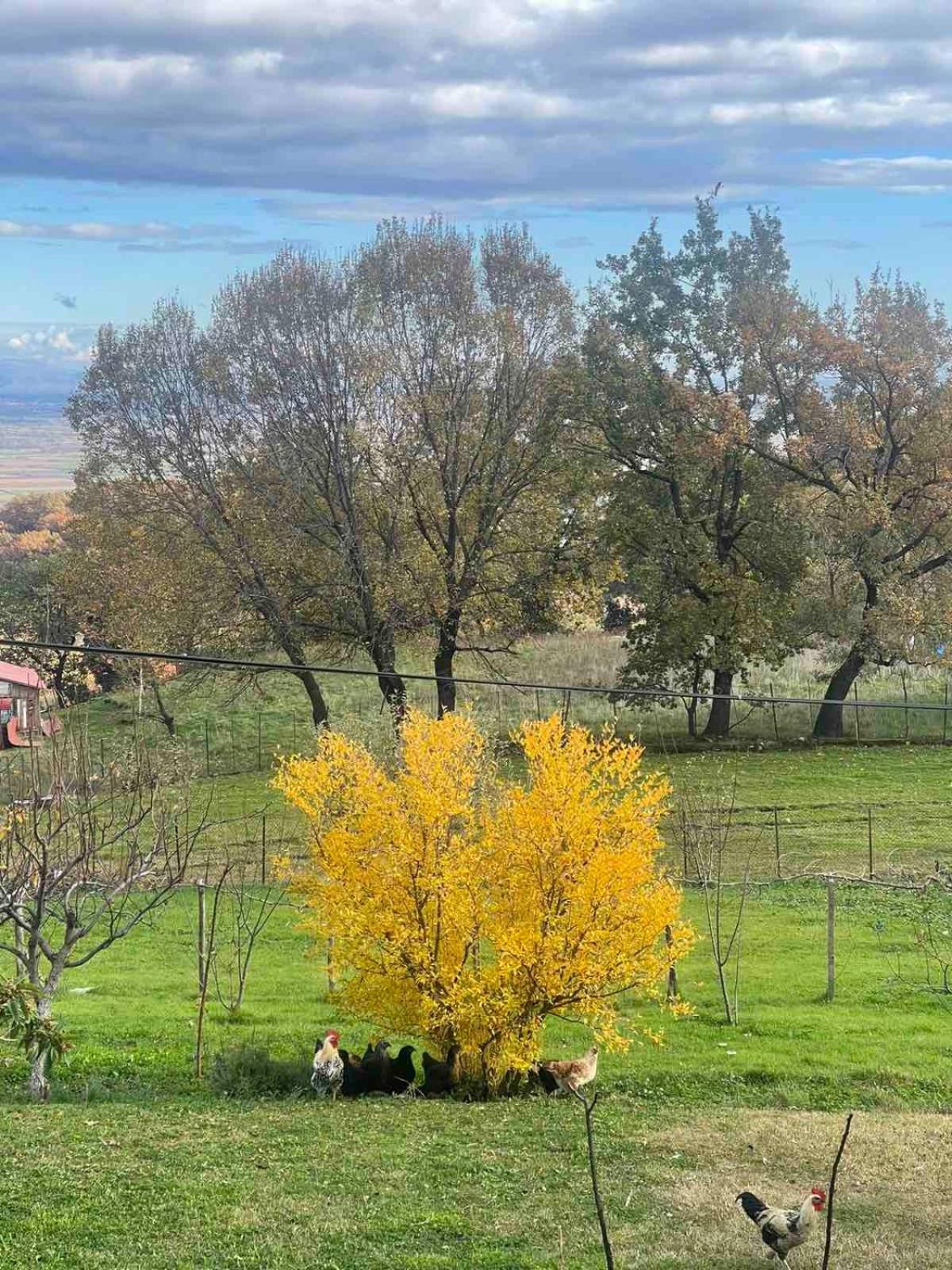 Country Home Genesi 20 Min From Trikala Exterior photo