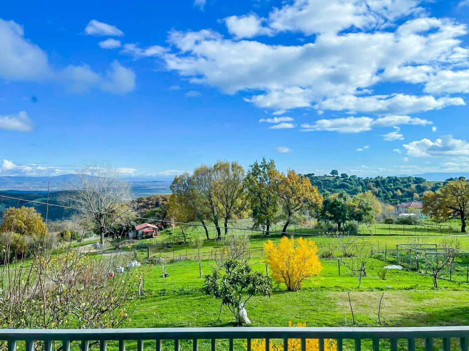 Country Home Genesi 20 Min From Trikala Exterior photo