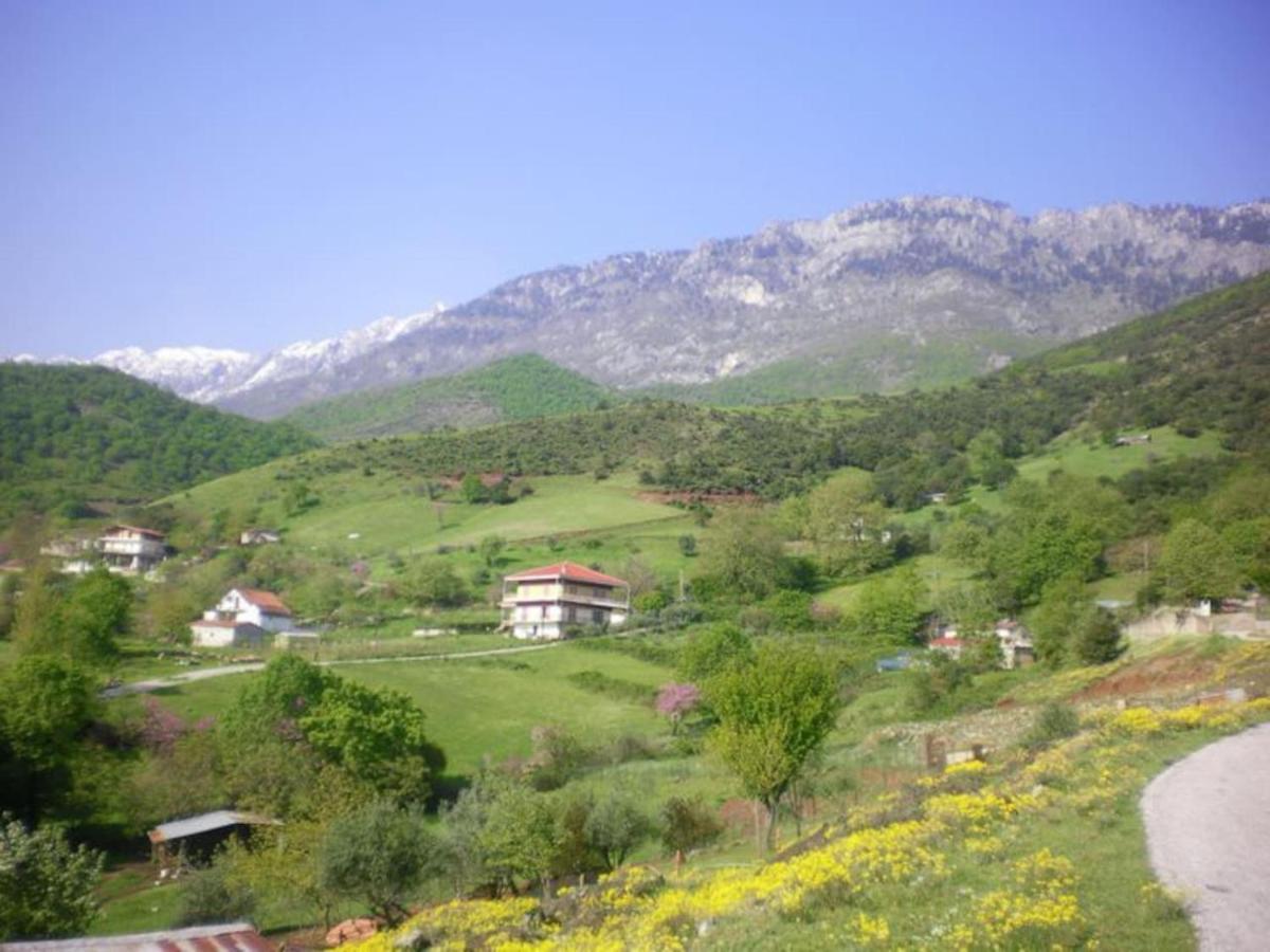 Country Home Genesi 20 Min From Trikala Exterior photo