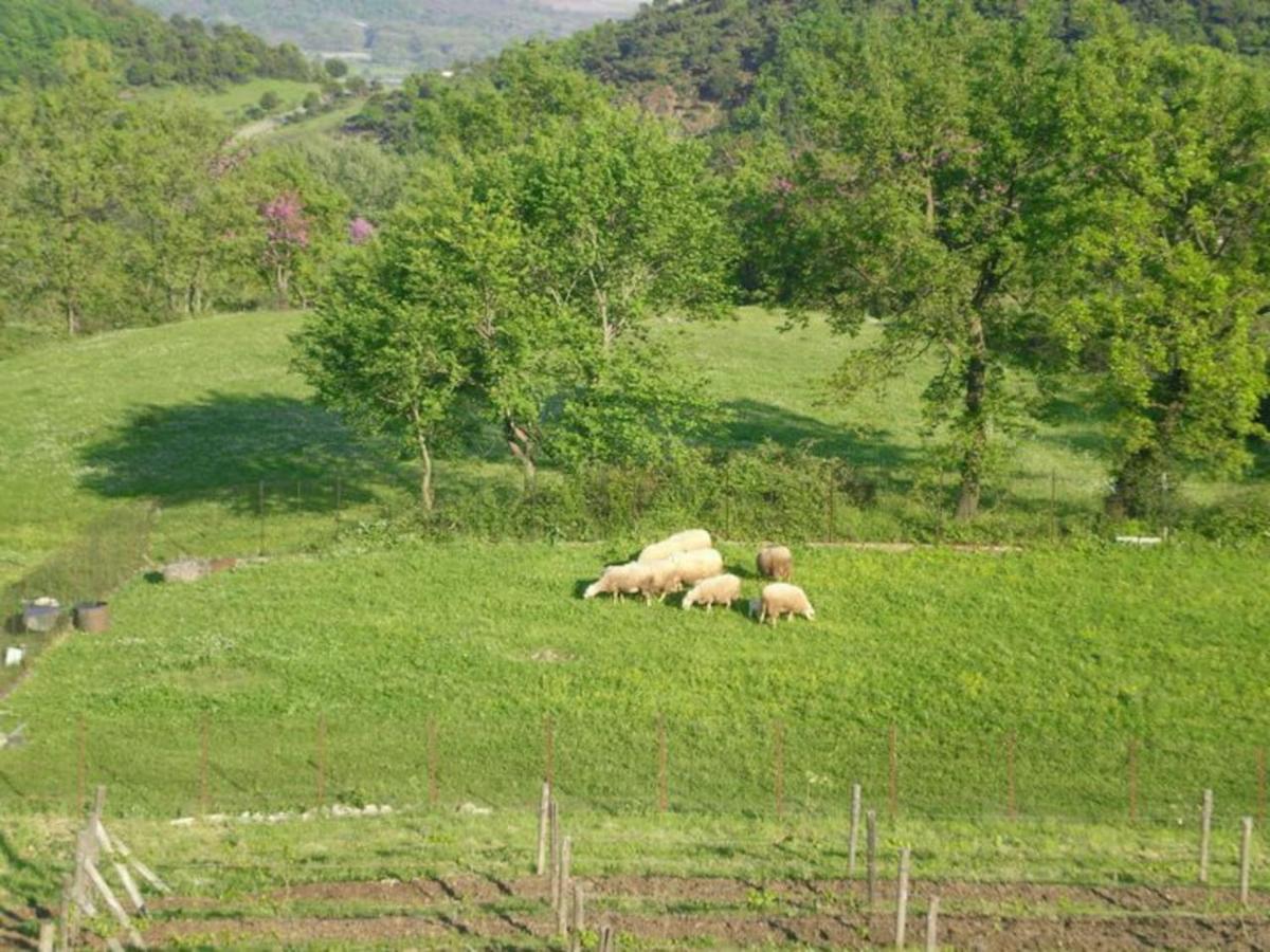 Country Home Genesi 20 Min From Trikala Exterior photo