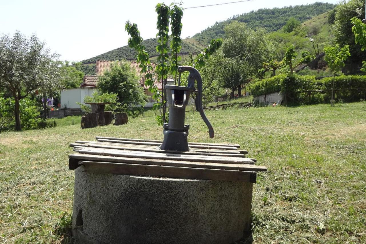 Country Home Genesi 20 Min From Trikala Exterior photo